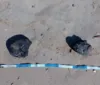 Mais fragmentos de óleo aparecem em praia da Barra de Santo Antônio imagem