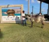 Exposições regionais do gado leiteiro têm início na 72ª Expoagro Alagoas imagem