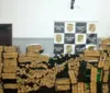 Após denúncia, polícia apreende 1,3 tonelada de maconha em São Paulo imagem