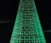 Justiça suspende temporariamente instalação da árvore de Natal no Marco dos Corais imagem