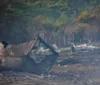MP denuncia dono de depósito de fogos em Guaxuma por explosão imagem