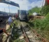 Caminhão cai em ribanceira e bloqueia passagem de VLTs no Rio Novo imagem