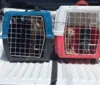 Polícia Civil resgata três cachorros vítimas de maus-tratos em Maceió imagem