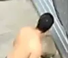 VÍDEO: Homem é flagrado agredindo cachorro com chineladas em Capela imagem