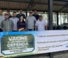 Alagoas inicia primeira etapa da vacinação contra febre aftosa imagem