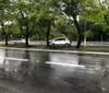 Em pista molhada, motorista colide carro contra árvore imagem