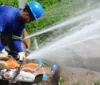 Tentativa de furto de água deixa cidades de AL sem abastecimento imagem