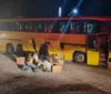 Homem é preso com quase 100 pássaros dentro de ônibus em Palmeira imagem