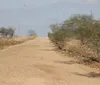 Semarh estende alerta de baixa umidade no Sertão até sábado imagem