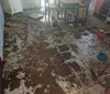 Idoso de 87 anos em situação de maus-tratos é resgatado no Barro Duro imagem