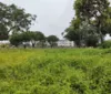 Sudes recebe 1,2 mil denúncias de terrenos abandonados em Maceió imagem
