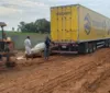 Chuva danifica estrada de terra em Limoeiro e veículos atolam no barro imagem