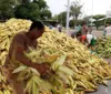 Preço da mão de milho em Maceió pode chegar até R$ 60; confira! imagem