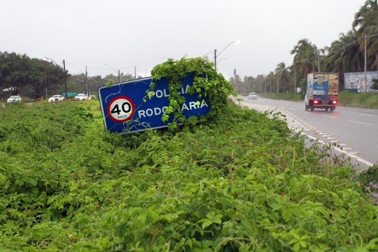 Sinalização está coberta pelo mato dos encostamentos e prejudica visão de motoristas