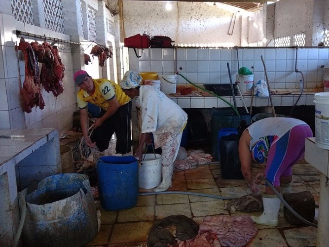 Local não apresenta condições higiênico-sanitárias para o abate de animais
