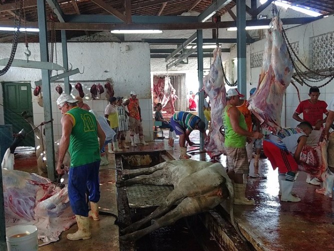Local não apresenta condições higiênico-sanitárias para o abate de animais