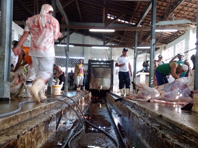 Local não apresenta condições higiênico-sanitárias para o abate de animais