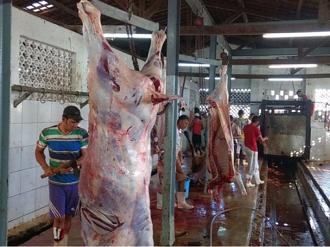 Local não apresenta condições higiênico-sanitárias para o abate de animais