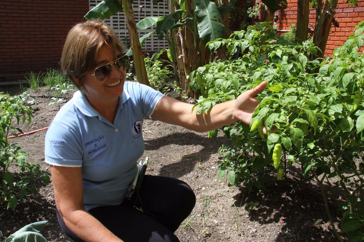 Atualmente a Escola Estadual de Cegos Cyro Accioly cultiva mais de 25 tipos plantas