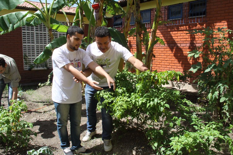 Atualmente a Escola Estadual de Cegos Cyro Accioly cultiva mais de 25 tipos plantas