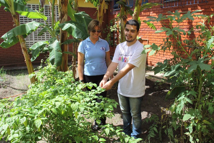 Atualmente a Escola Estadual de Cegos Cyro Accioly cultiva mais de 25 tipos plantas