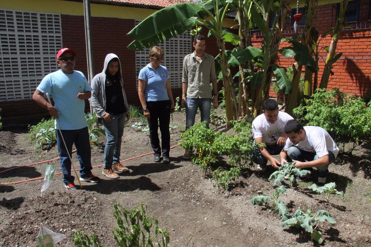 Atualmente a Escola Estadual de Cegos Cyro Accioly cultiva mais de 25 tipos plantas