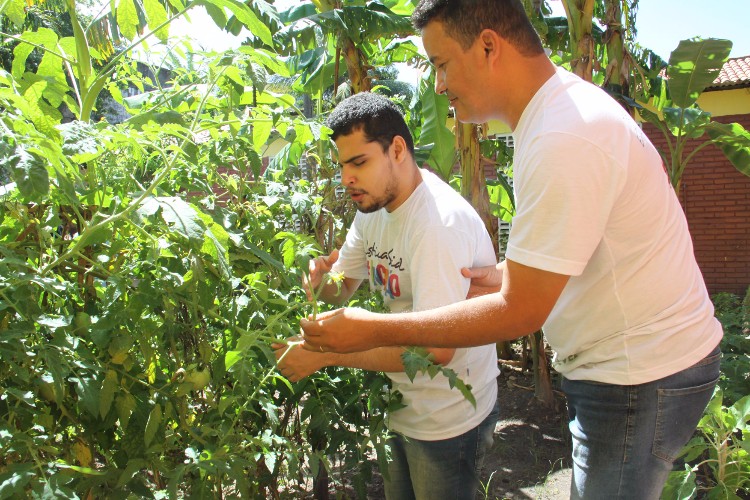 Atualmente a Escola Estadual de Cegos Cyro Accioly cultiva mais de 25 tipos plantas