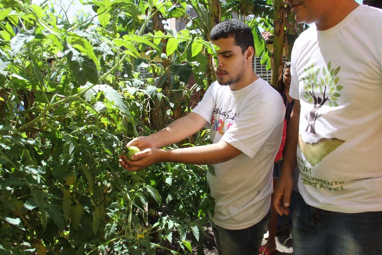 Atualmente a Escola Estadual de Cegos Cyro Accioly cultiva mais de 25 tipos plantas