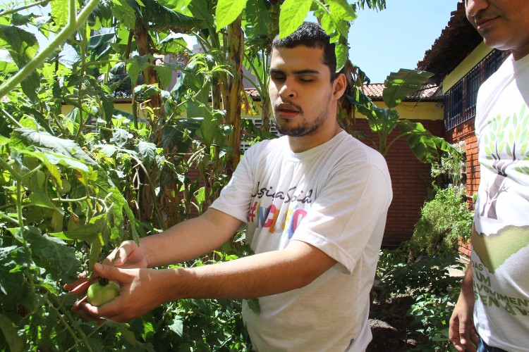 Atualmente a Escola Estadual de Cegos Cyro Accioly cultiva mais de 25 tipos plantas