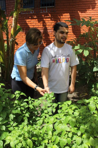 Atualmente a Escola Estadual de Cegos Cyro Accioly cultiva mais de 25 tipos plantas