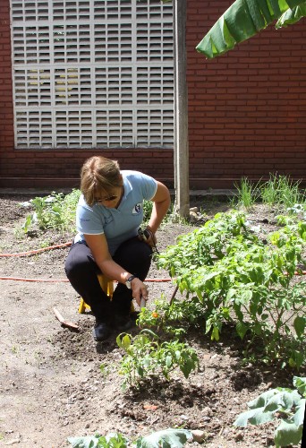 Atualmente a Escola Estadual de Cegos Cyro Accioly cultiva mais de 25 tipos plantas