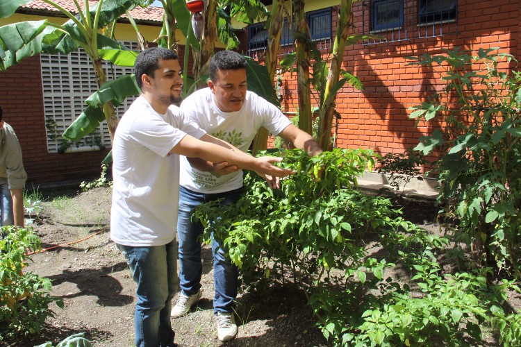 Atualmente a Escola Estadual de Cegos Cyro Accioly cultiva mais de 25 tipos plantas