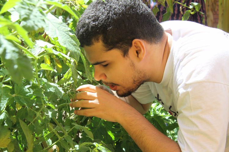 Atualmente a Escola Estadual de Cegos Cyro Accioly cultiva mais de 25 tipos plantas