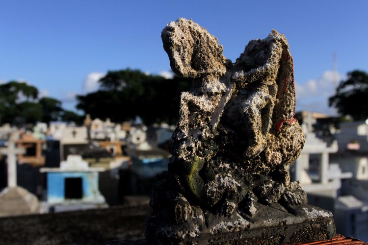 Cemitérios públicos de Maceió custam R$ 1 milhão/ano aos cofres públicos