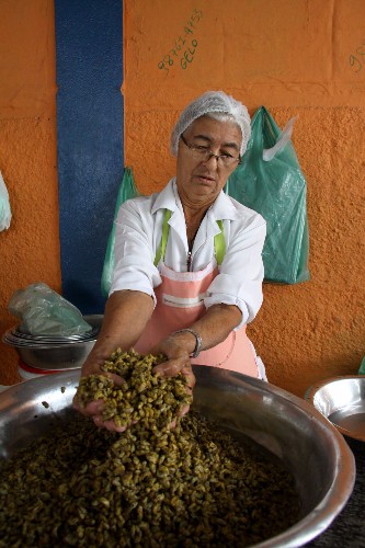 Devido a chuva, a água da lagoa, que antes possuía teor 12 PPM, está doce