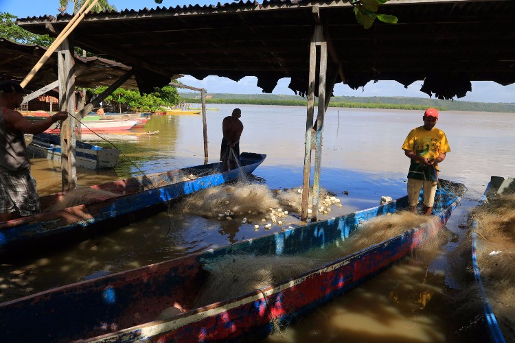 Devido a chuva, a água da lagoa, que antes possuía teor 12 PPM, está doce