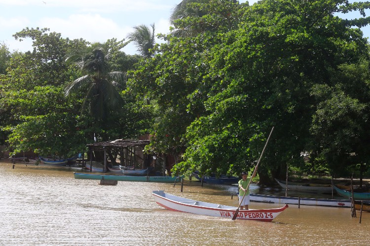 Devido a chuva, a água da lagoa, que antes possuía teor 12 PPM, está doce