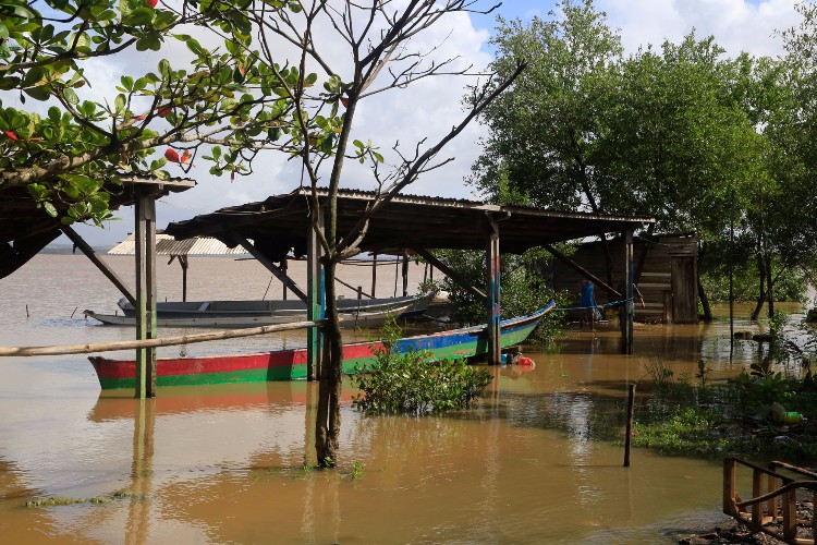 Devido a chuva, a água da lagoa, que antes possuía teor 12 PPM, está doce