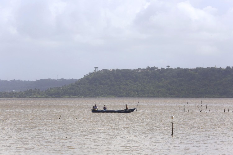 Devido a chuva, a água da lagoa, que antes possuía teor 12 PPM, está doce