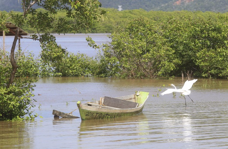 Devido a chuva, a água da lagoa, que antes possuía teor 12 PPM, está doce
