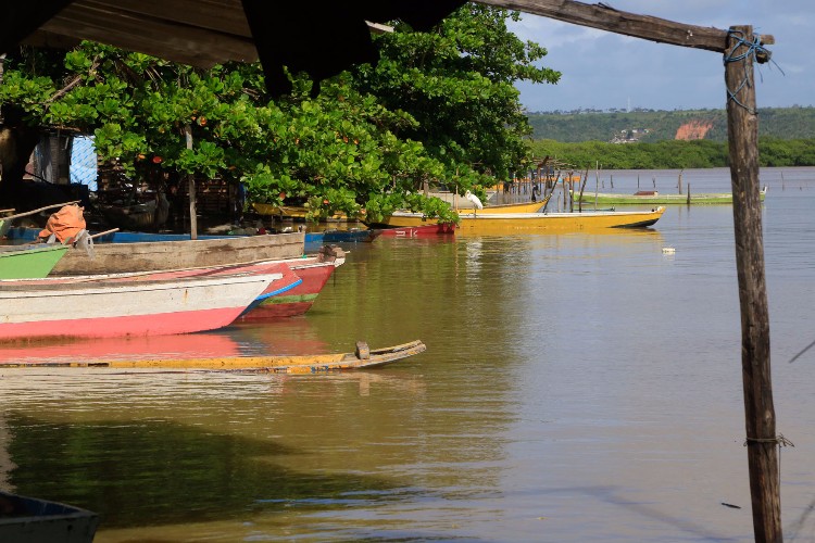 Devido a chuva, a água da lagoa, que antes possuía teor 12 PPM, está doce