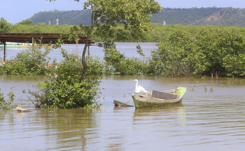 Devido a chuva, a água da lagoa, que antes possuía teor 12 PPM, está doce