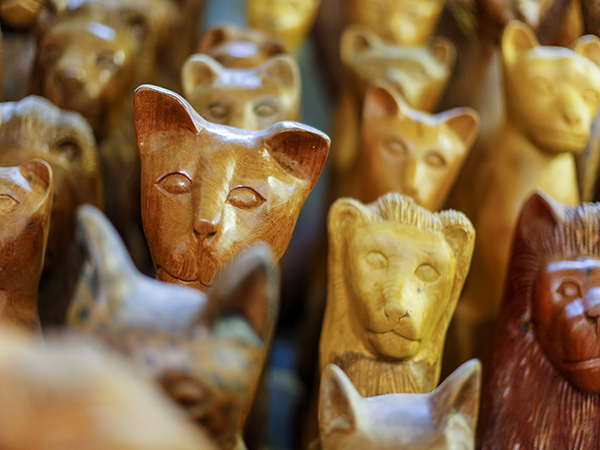 Gazeta de Alagoas foi até Boca da Mata contar um pouco da história desse artista