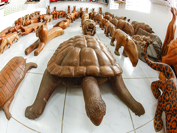 Gazeta de Alagoas foi até Boca da Mata contar um pouco da história desse artista