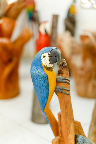 Gazeta de Alagoas foi até Boca da Mata contar um pouco da história desse artista