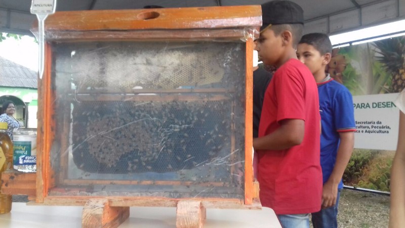 Confira as atrações do maior evento agropecuário do Estado. Artesanato, brinquedos, animais, entre o