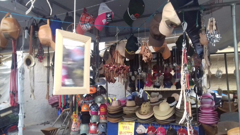Confira as atrações do maior evento agropecuário do Estado. Artesanato, brinquedos, animais, entre o