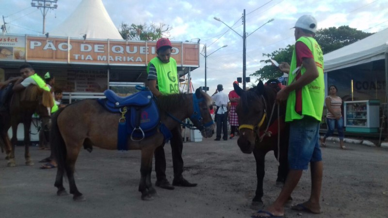 Confira as atrações do maior evento agropecuário do Estado. Artesanato, brinquedos, animais, entre o