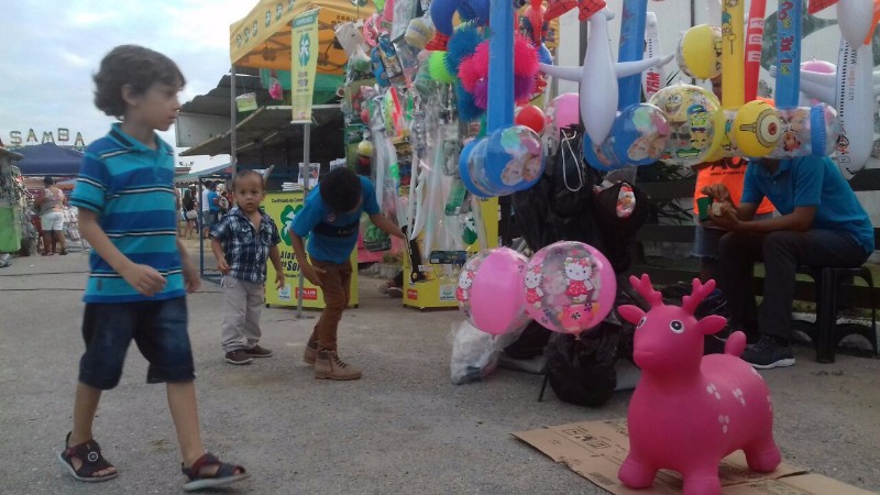 Confira as atrações do maior evento agropecuário do Estado. Artesanato, brinquedos, animais, entre o