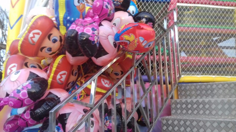 Confira as atrações do maior evento agropecuário do Estado. Artesanato, brinquedos, animais, entre o